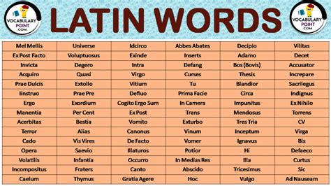 broken latina wores|How to say broken in Latin .